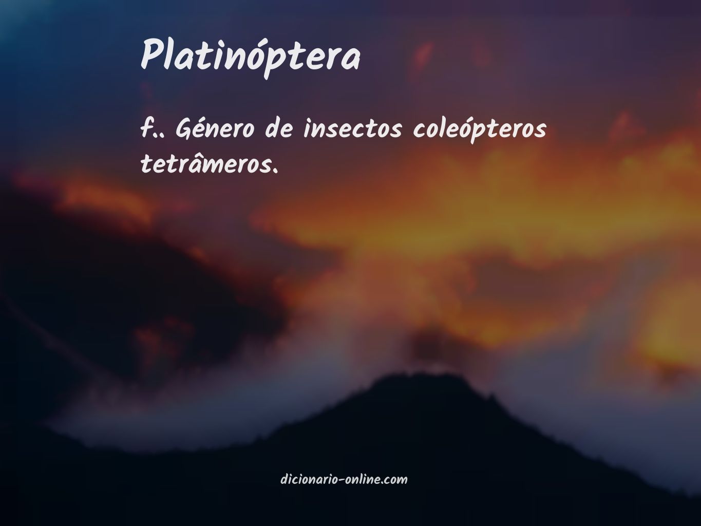 Significado de platinóptera