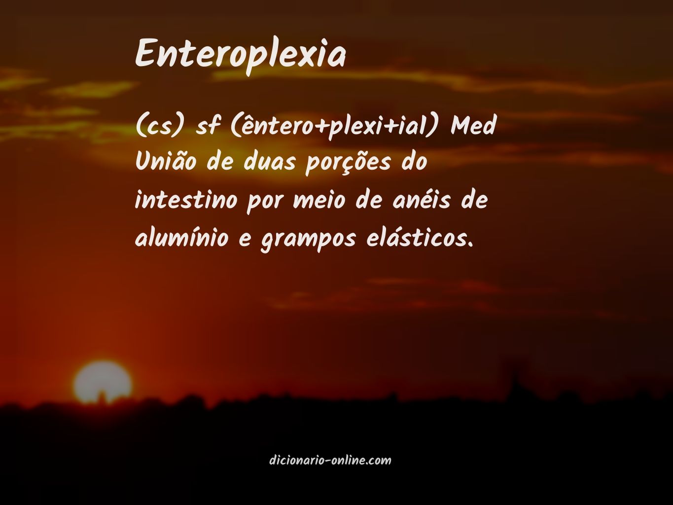 Significado de enteroplexia