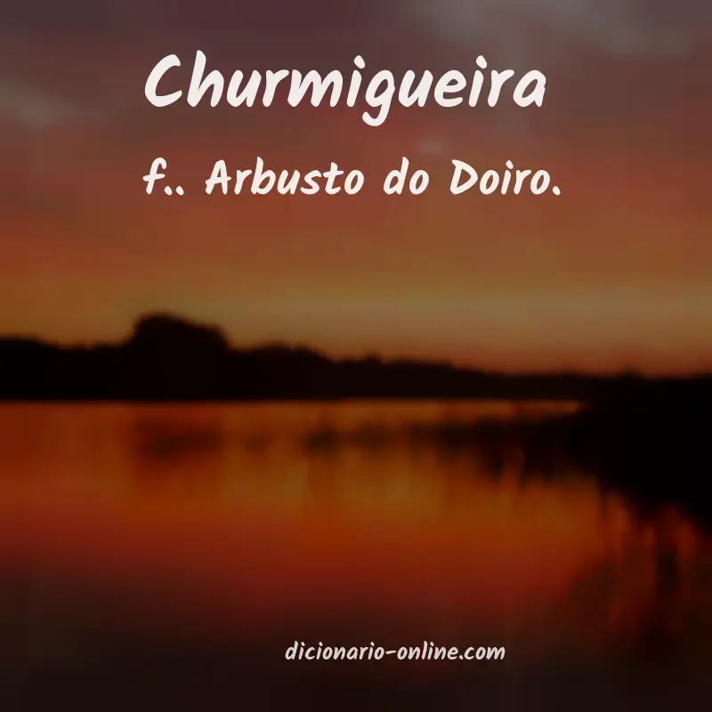 Significado de churmigueira