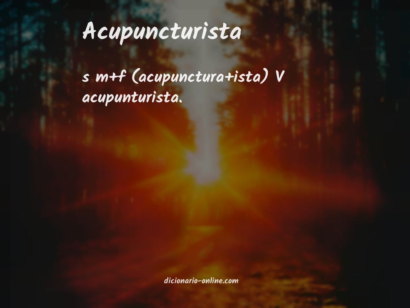 Significado de acupuncturista