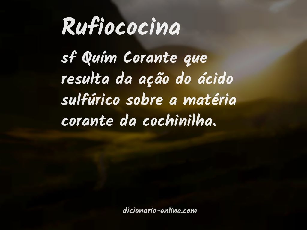 Significado de rufiococina