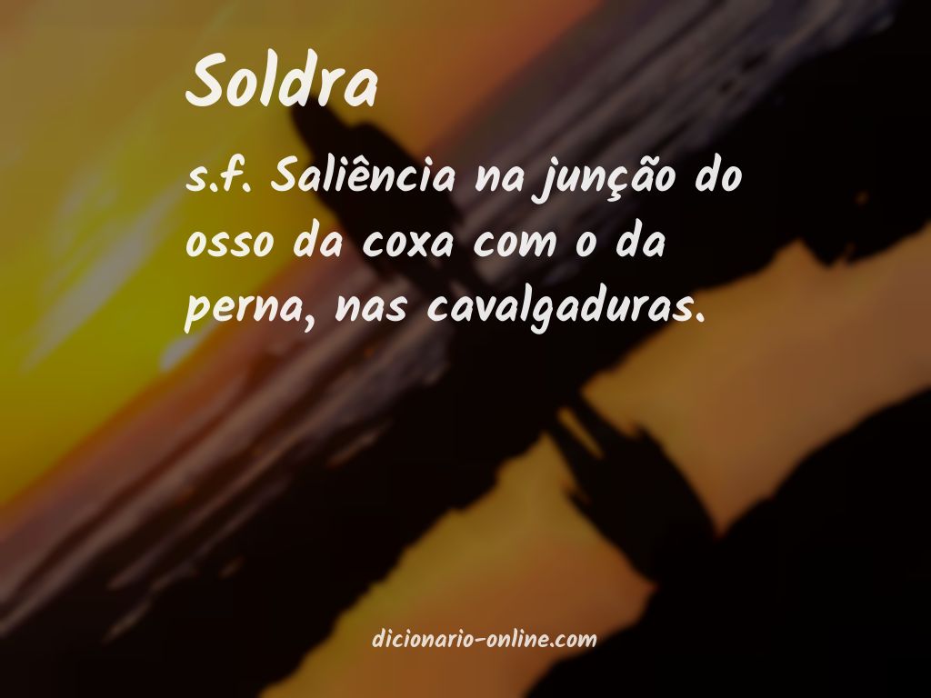 Significado de soldra