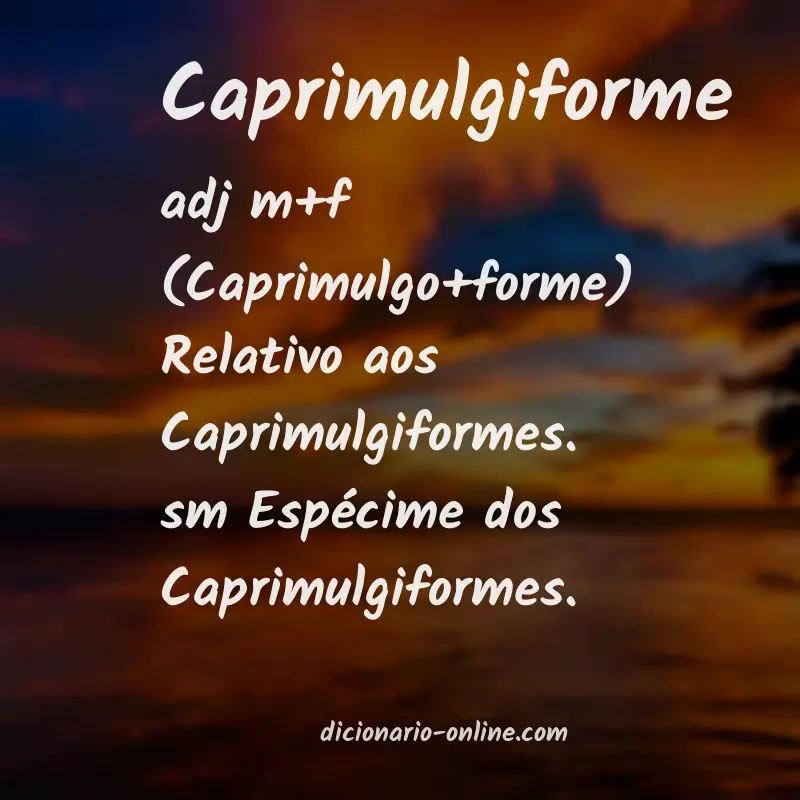 Significado de caprimulgiforme