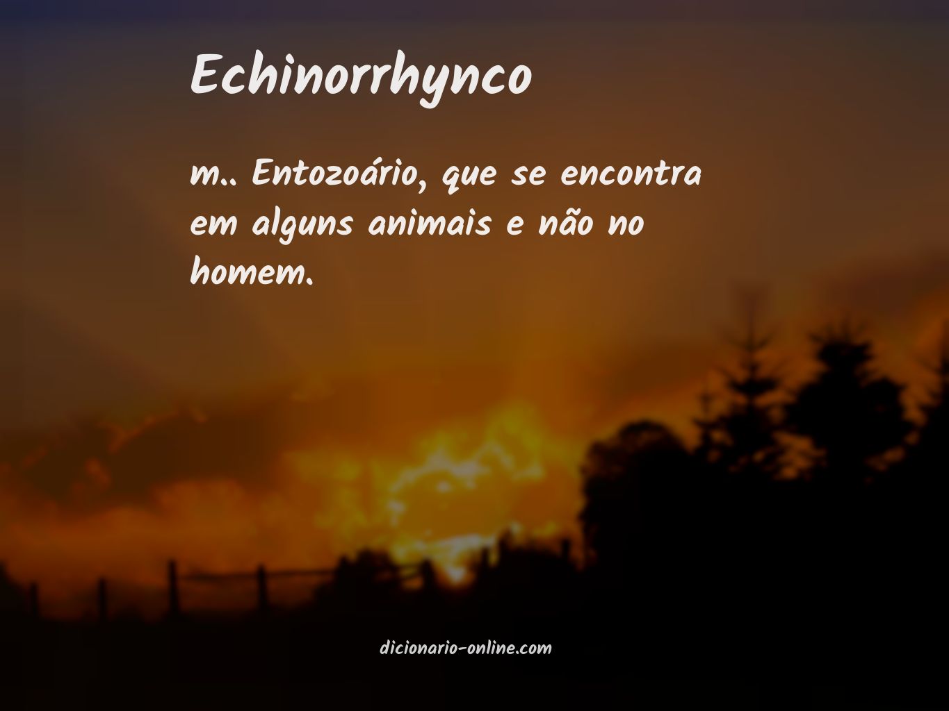 Significado de echinorrhynco