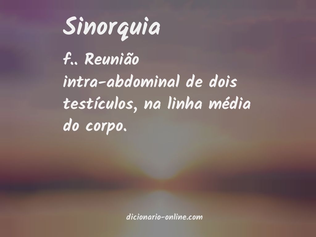 Significado de sinorquia