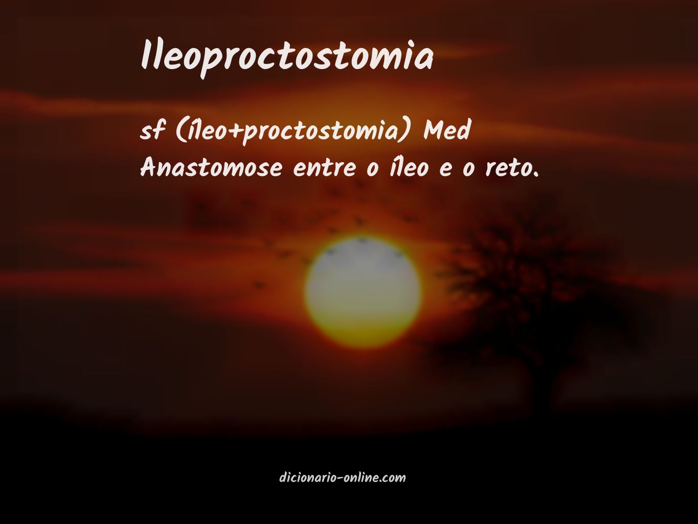 Significado de ileoproctostomia