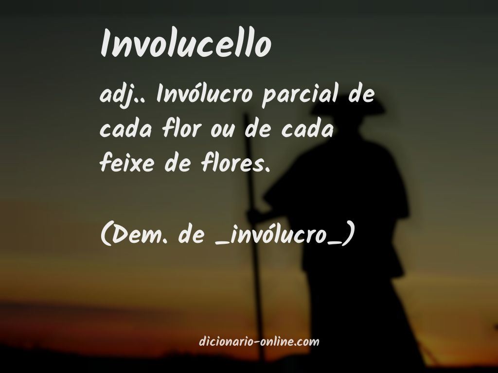 Significado de involucello