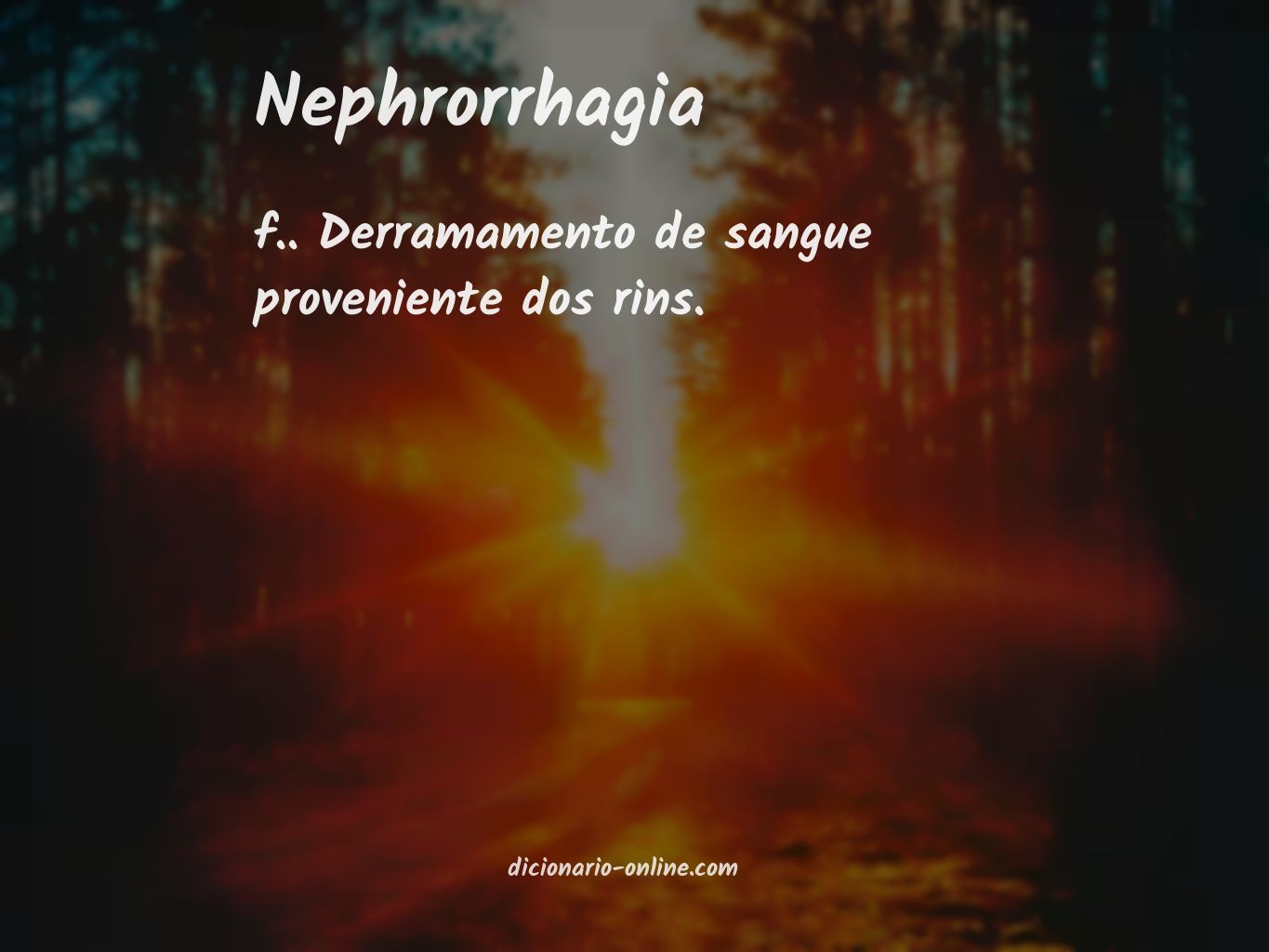 Significado de nephrorrhagia