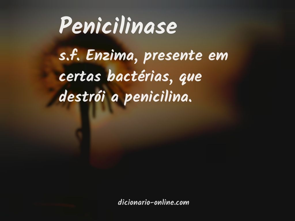 Significado de penicilinase