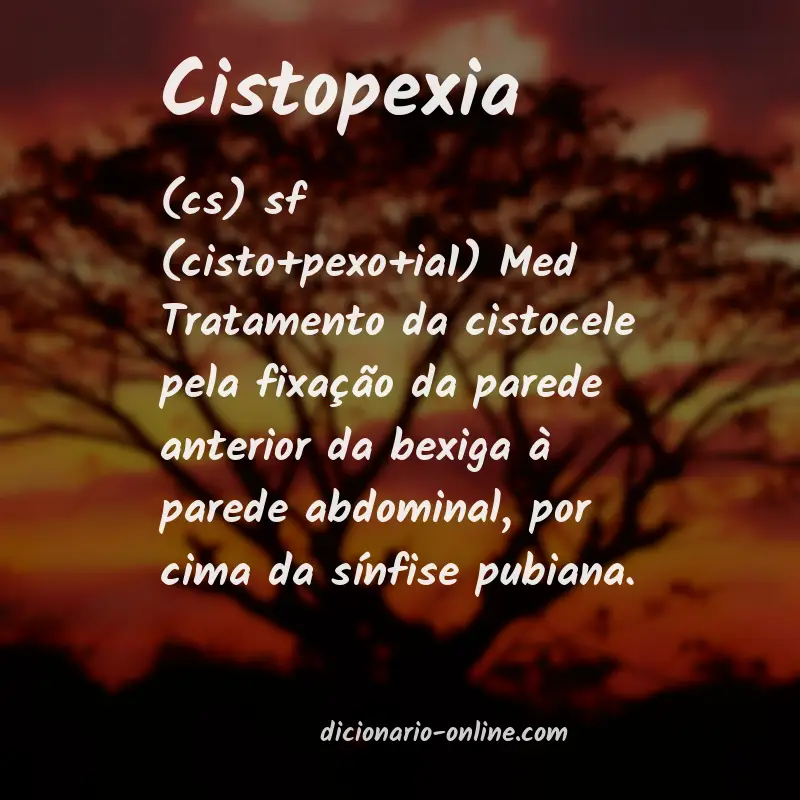 Significado de cistopexia
