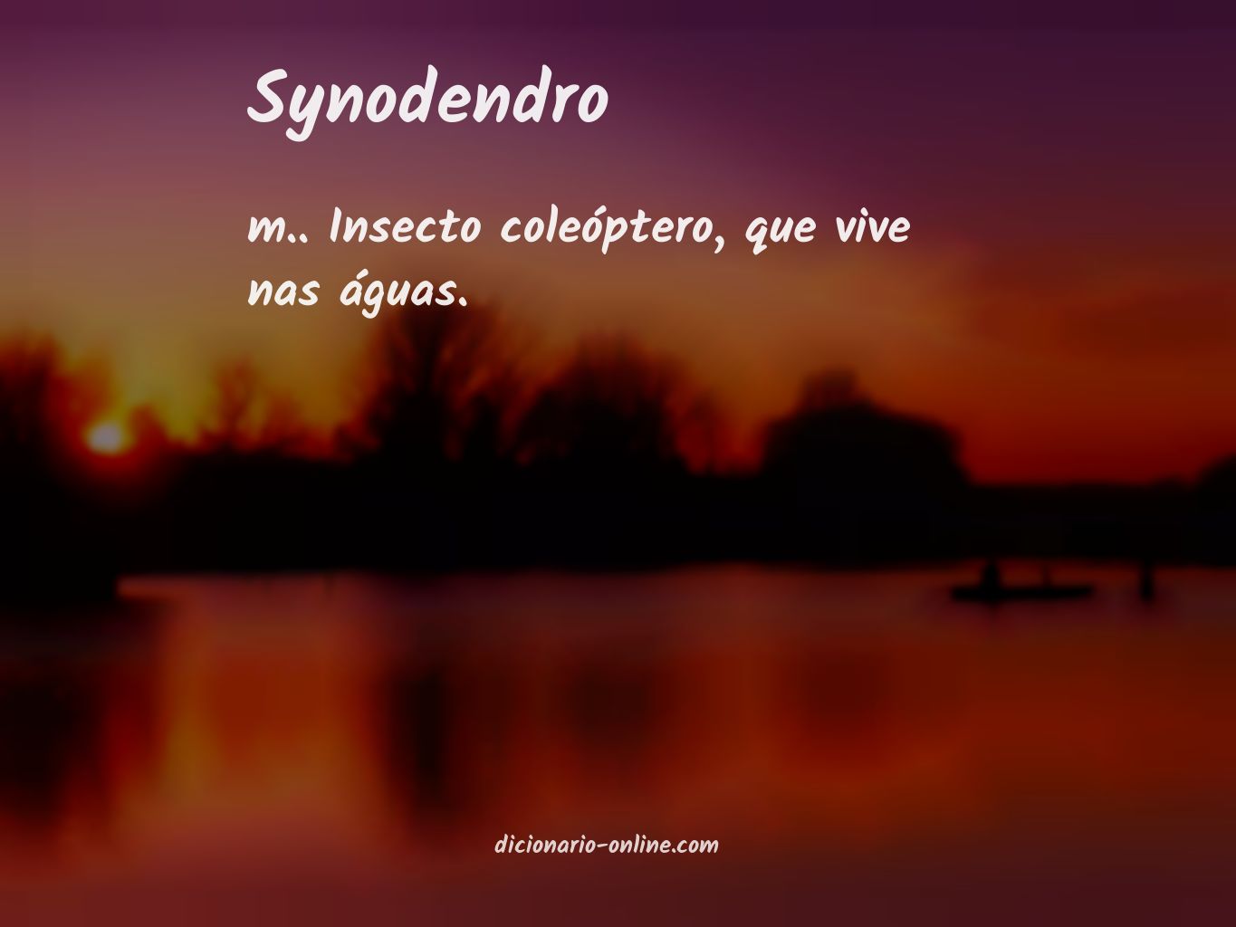 Significado de synodendro