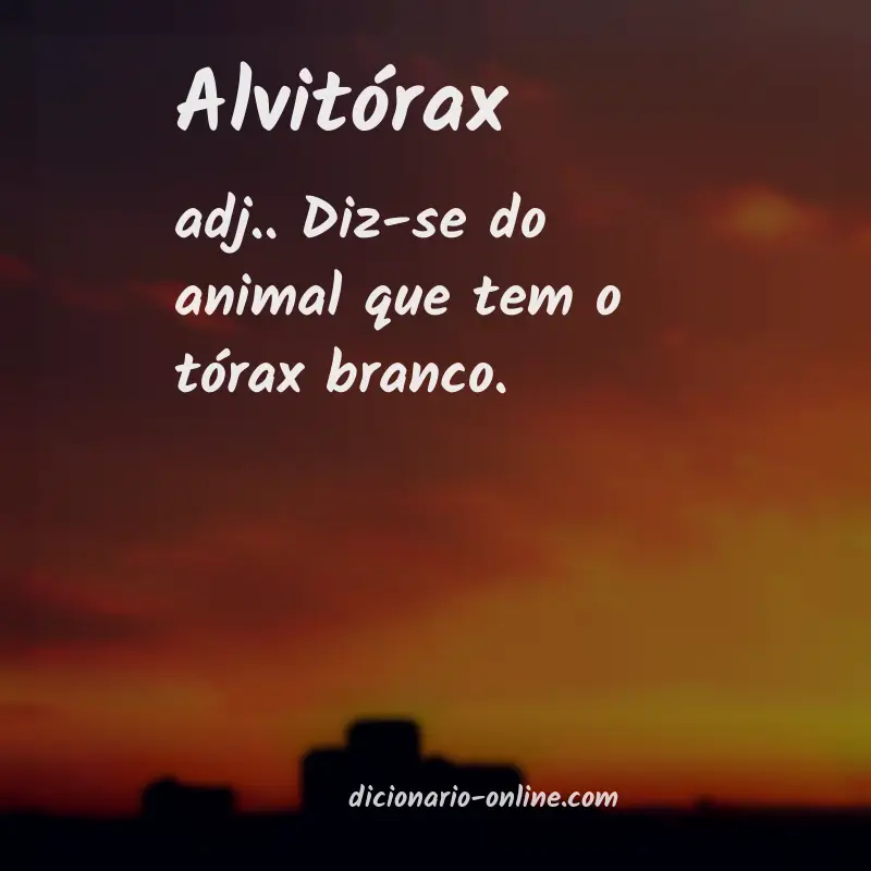 Significado de alvitórax