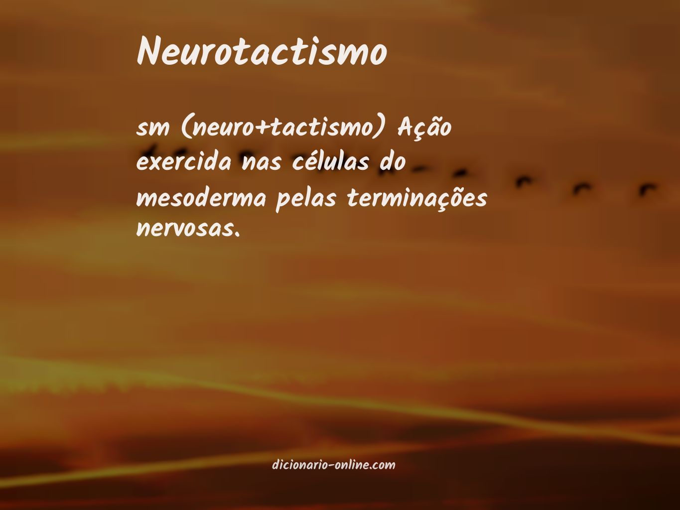 Significado de neurotactismo