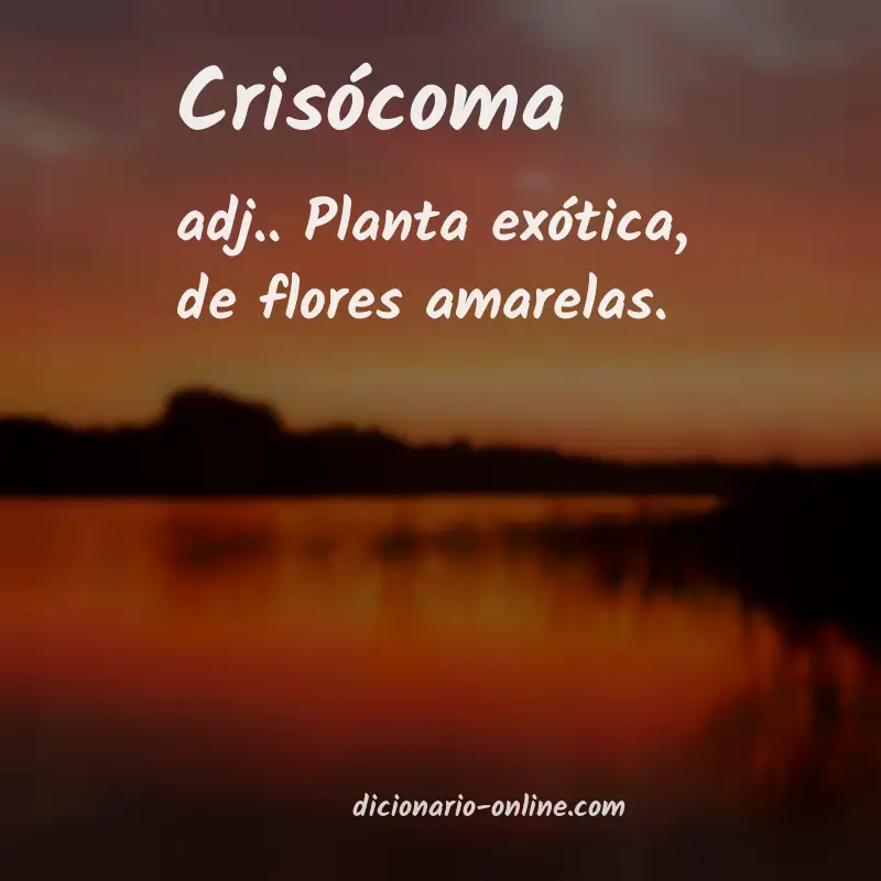 Significado de crisócoma