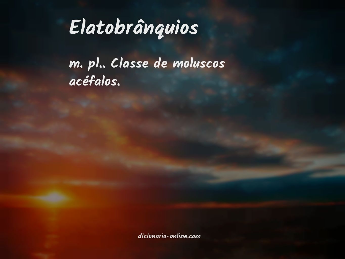 Significado de elatobrânquios