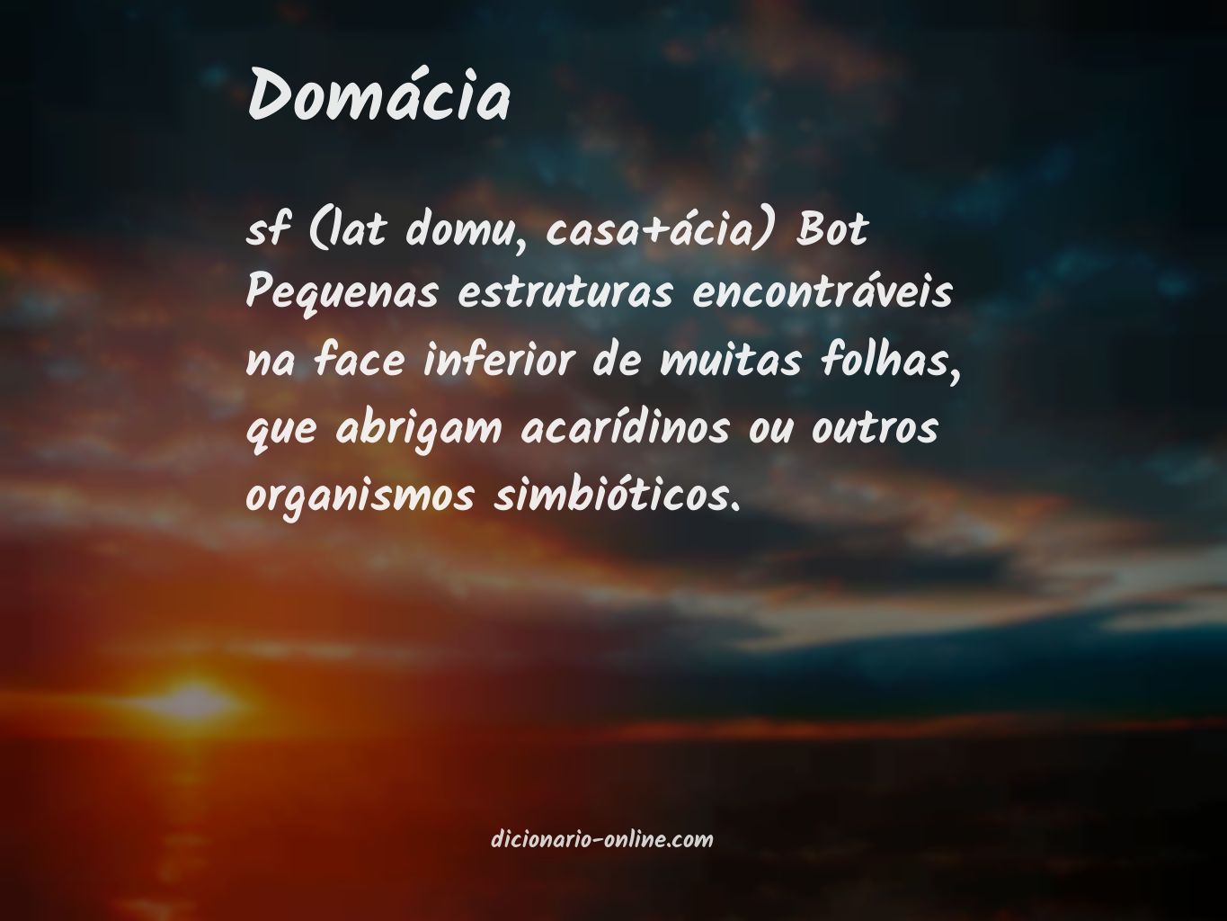 Significado de domácia