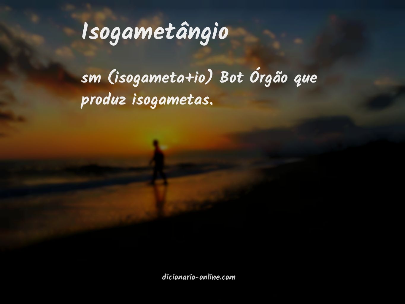 Significado de isogametângio