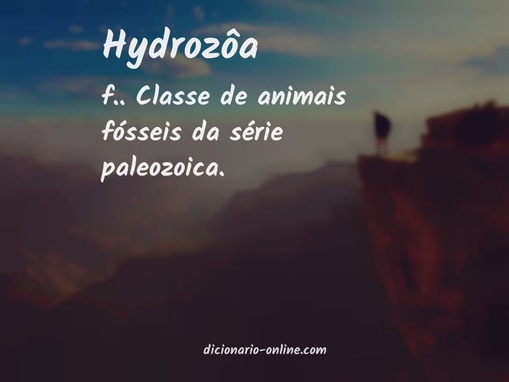 Significado de hydrozôa