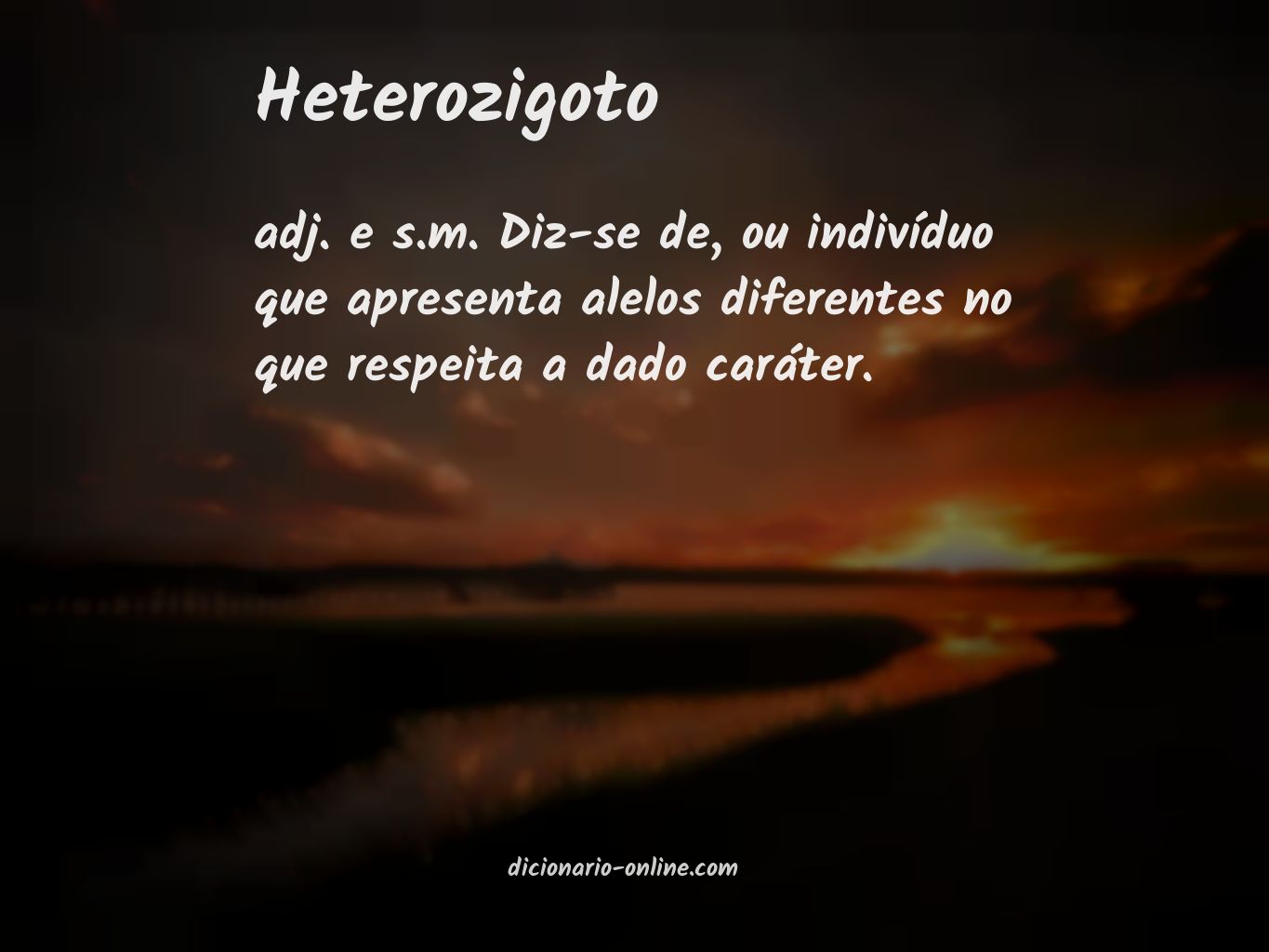 Significado de heterozigoto