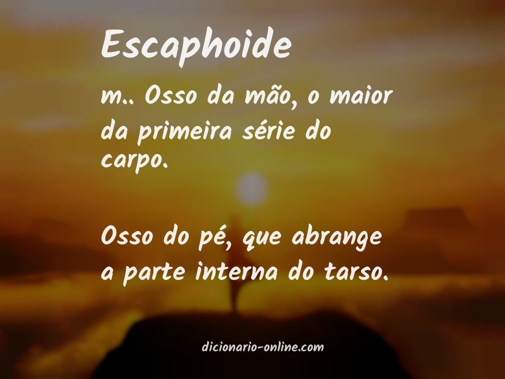 Significado de escaphoide