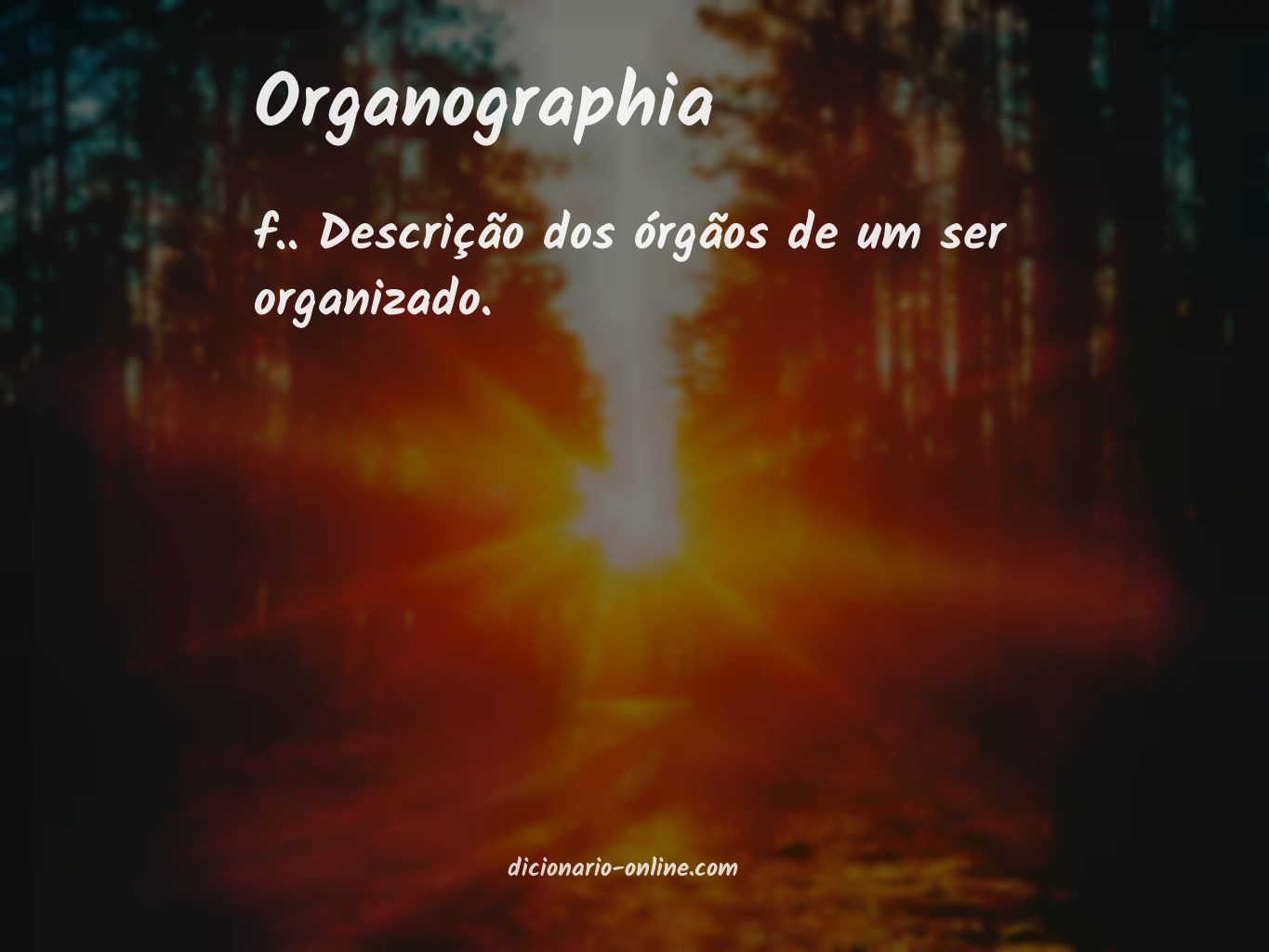 Significado de organographia