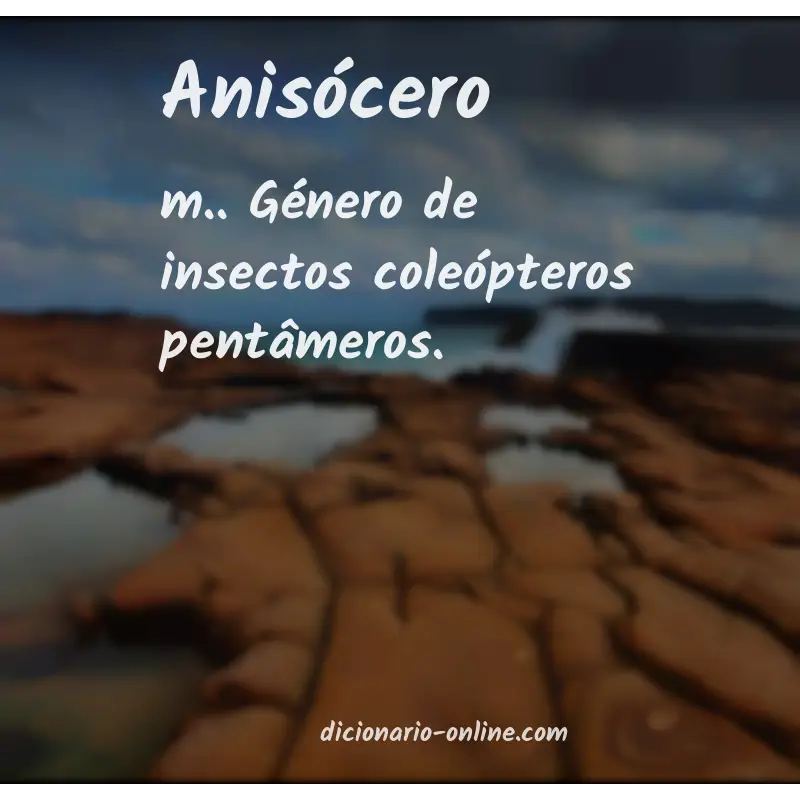 Significado de anisócero