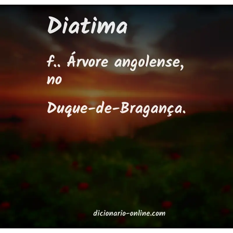 Significado de diatima