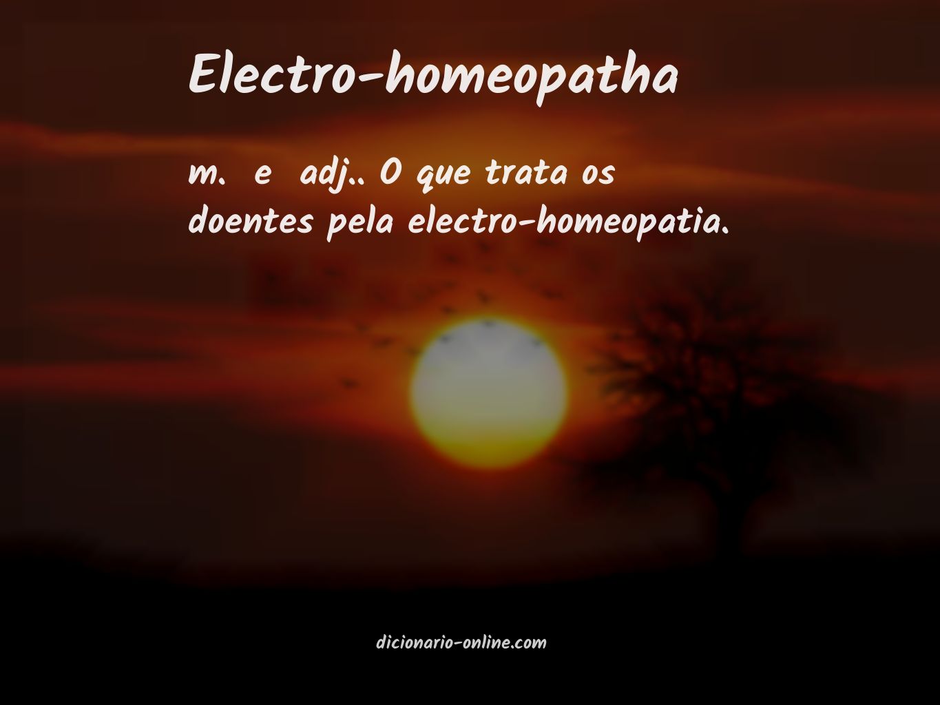 Significado de electro-homeopatha