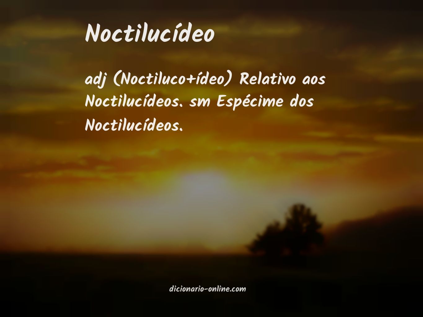 Significado de noctilucídeo