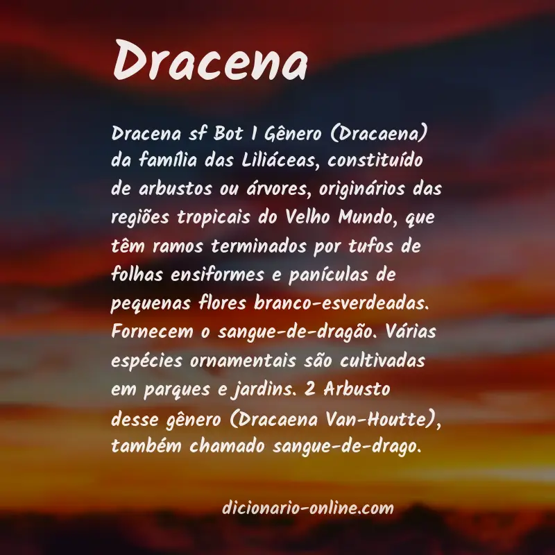Significado de dracena