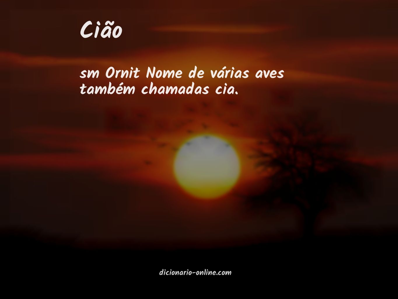 Significado de cião