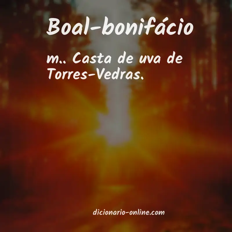 Significado de boal-bonifácio