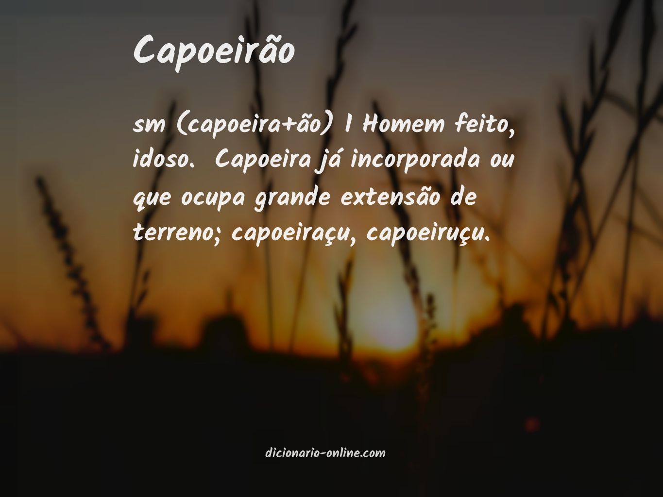 Significado de capoeirão