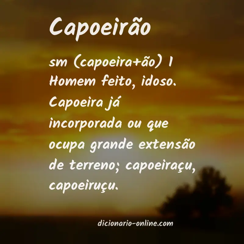 Significado de capoeirão