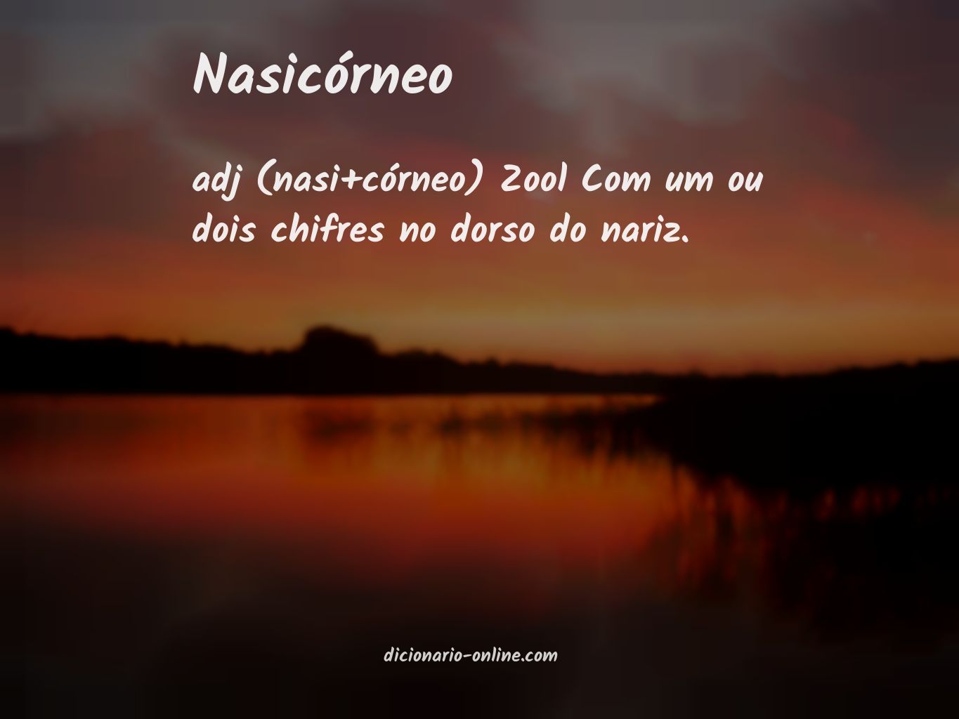 Significado de nasicórneo