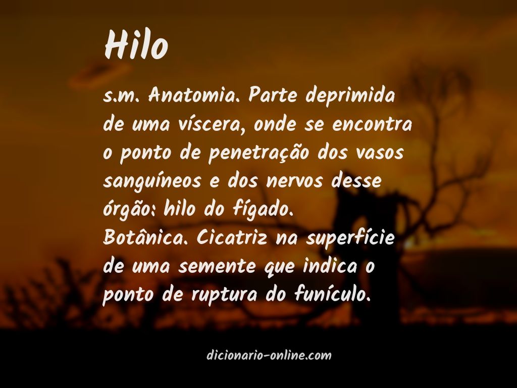 Significado de hilo