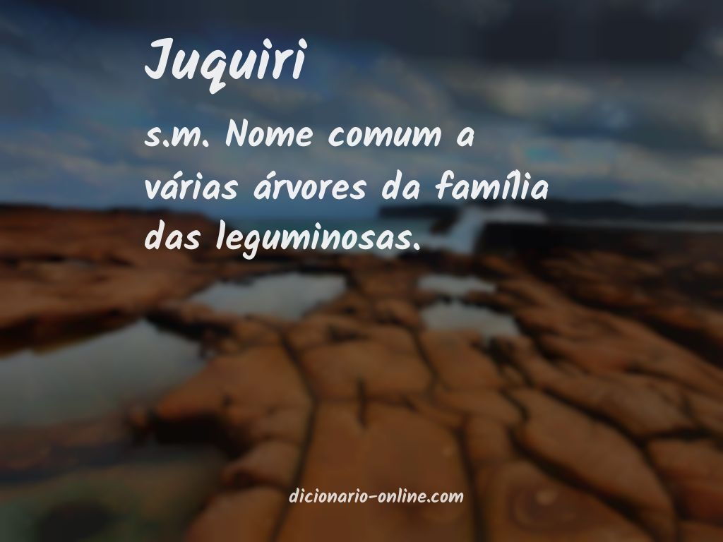 Significado de juquiri