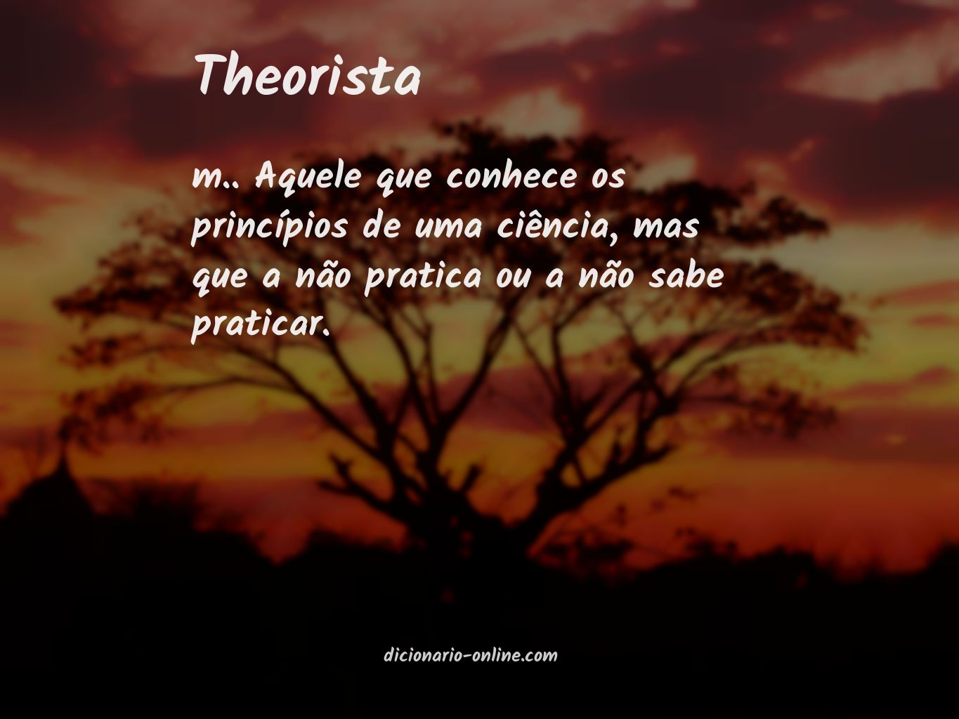 Significado de theorista