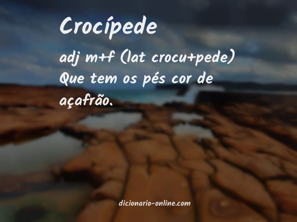 Significado de crocípede