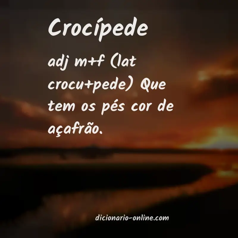 Significado de crocípede