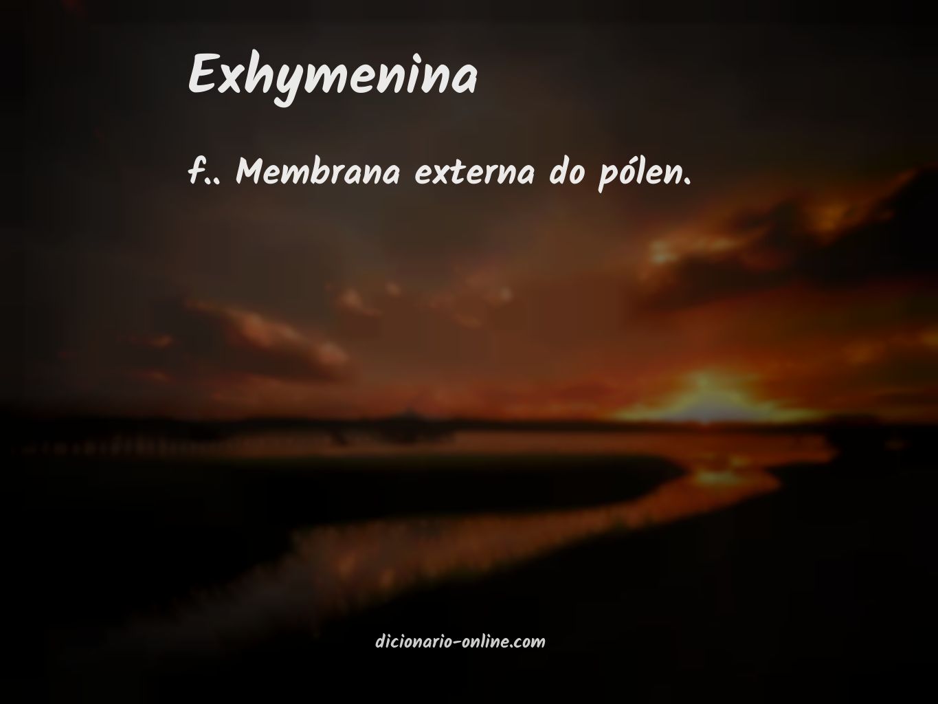 Significado de exhymenina