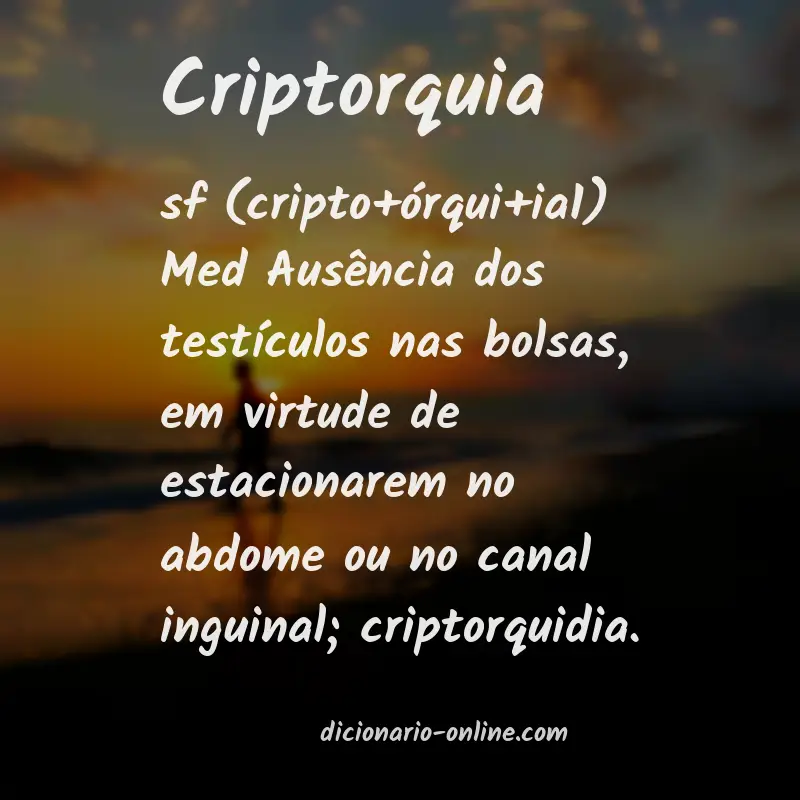 Significado de criptorquia