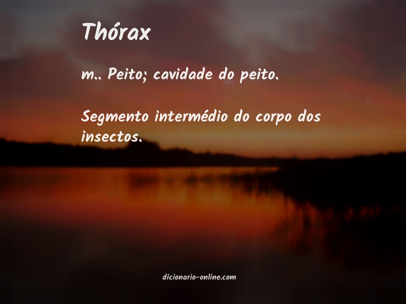 Significado de thórax