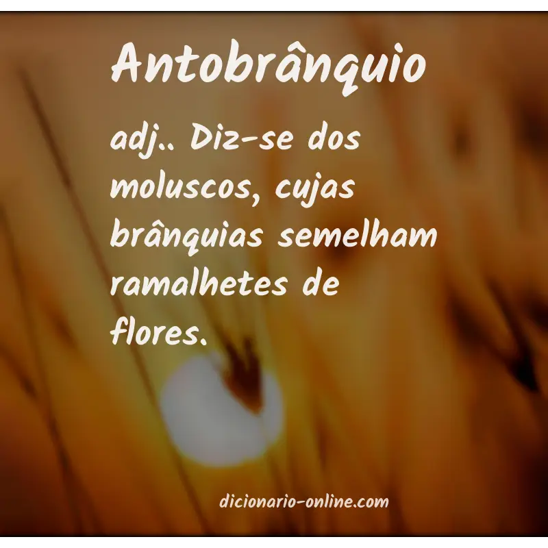 Significado de antobrânquio