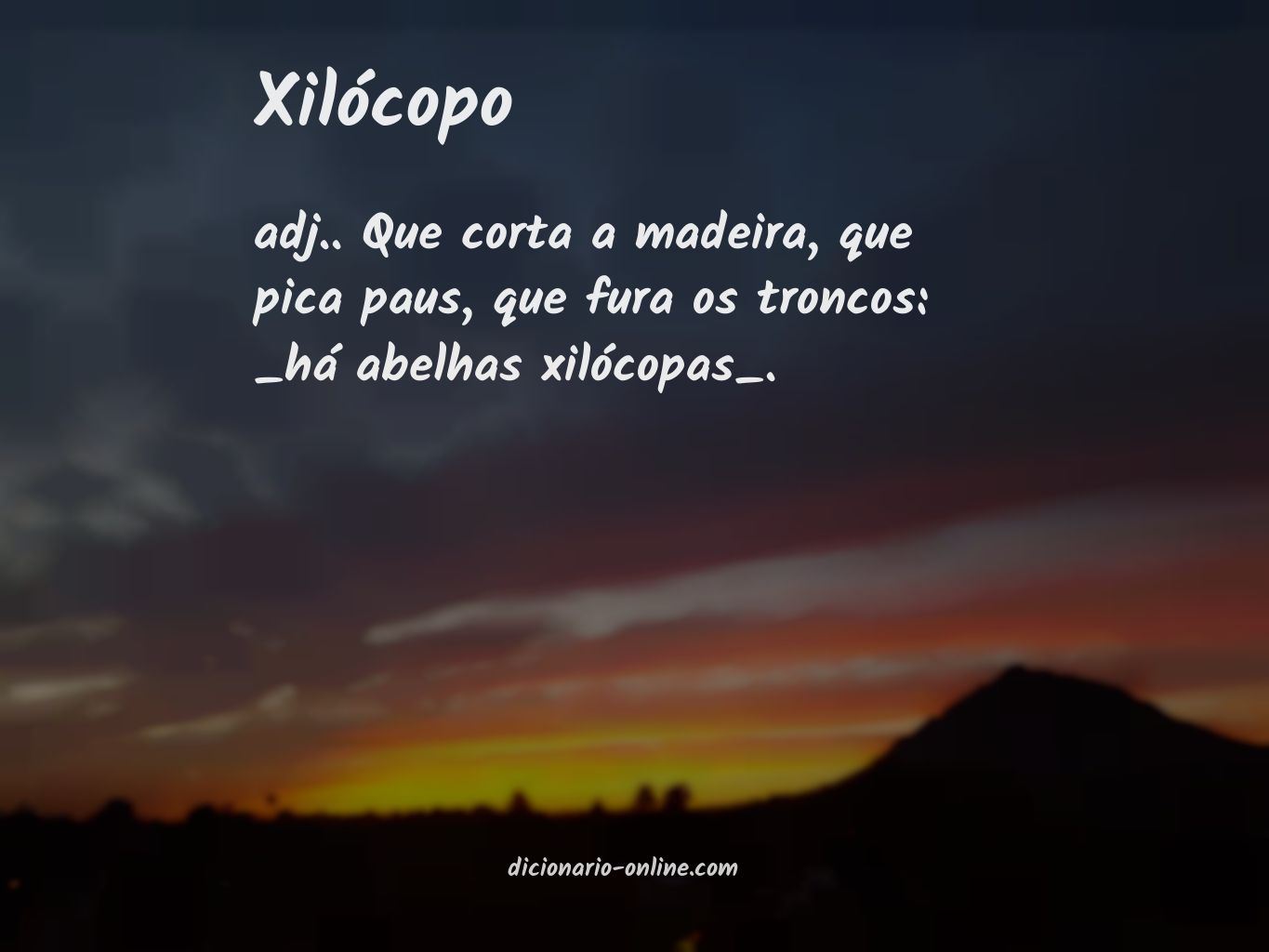 Significado de xilócopo