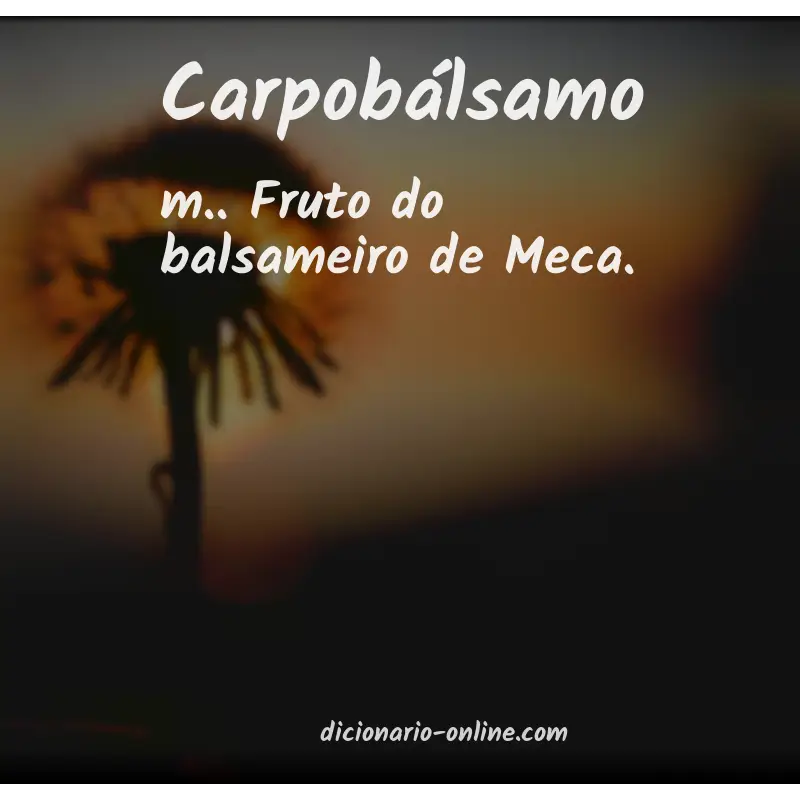 Significado de carpobálsamo