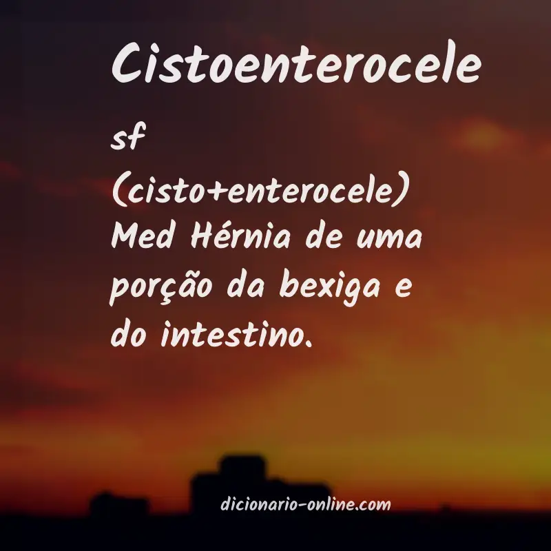 Significado de cistoenterocele