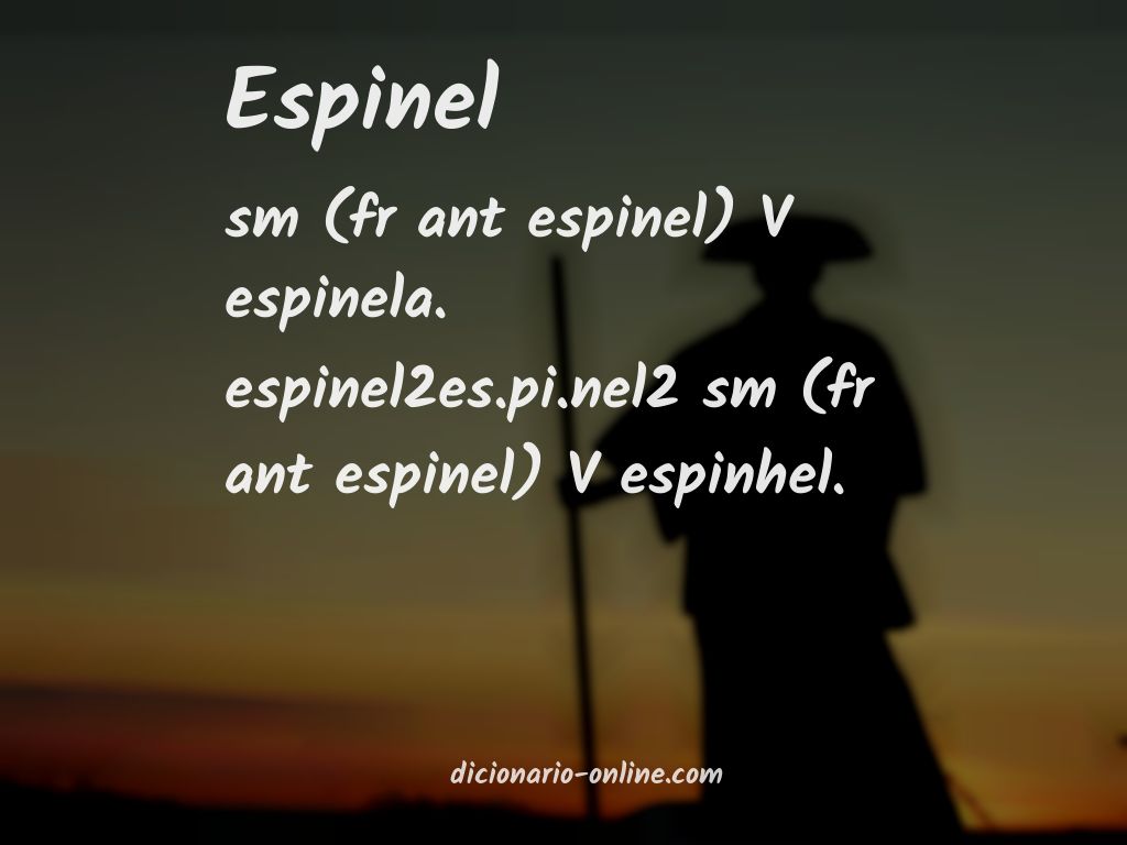 Significado de espinel