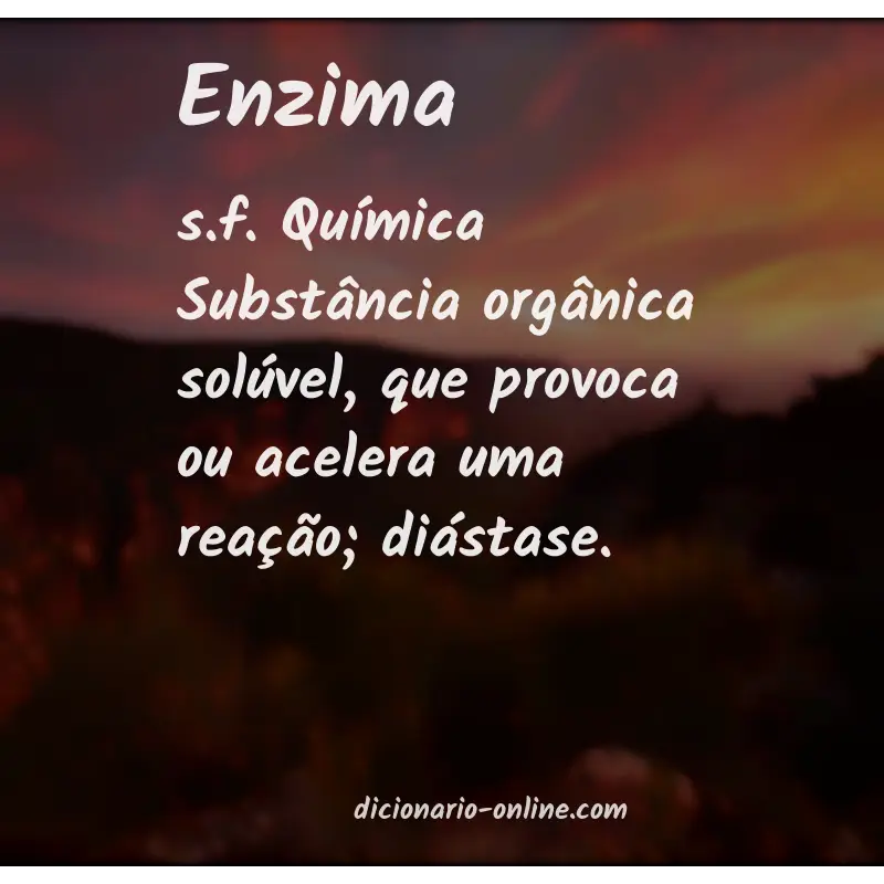Significado de enzima