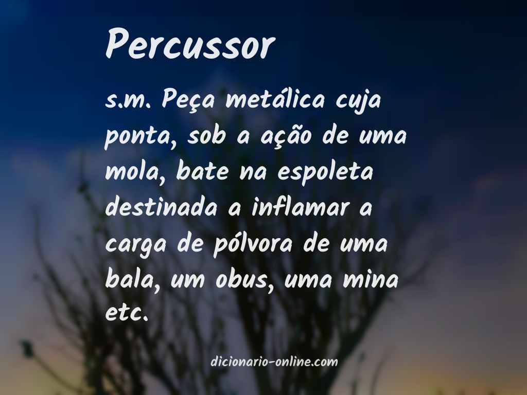 Significado de percussor